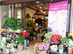 あすか花倶楽部　京橋教室